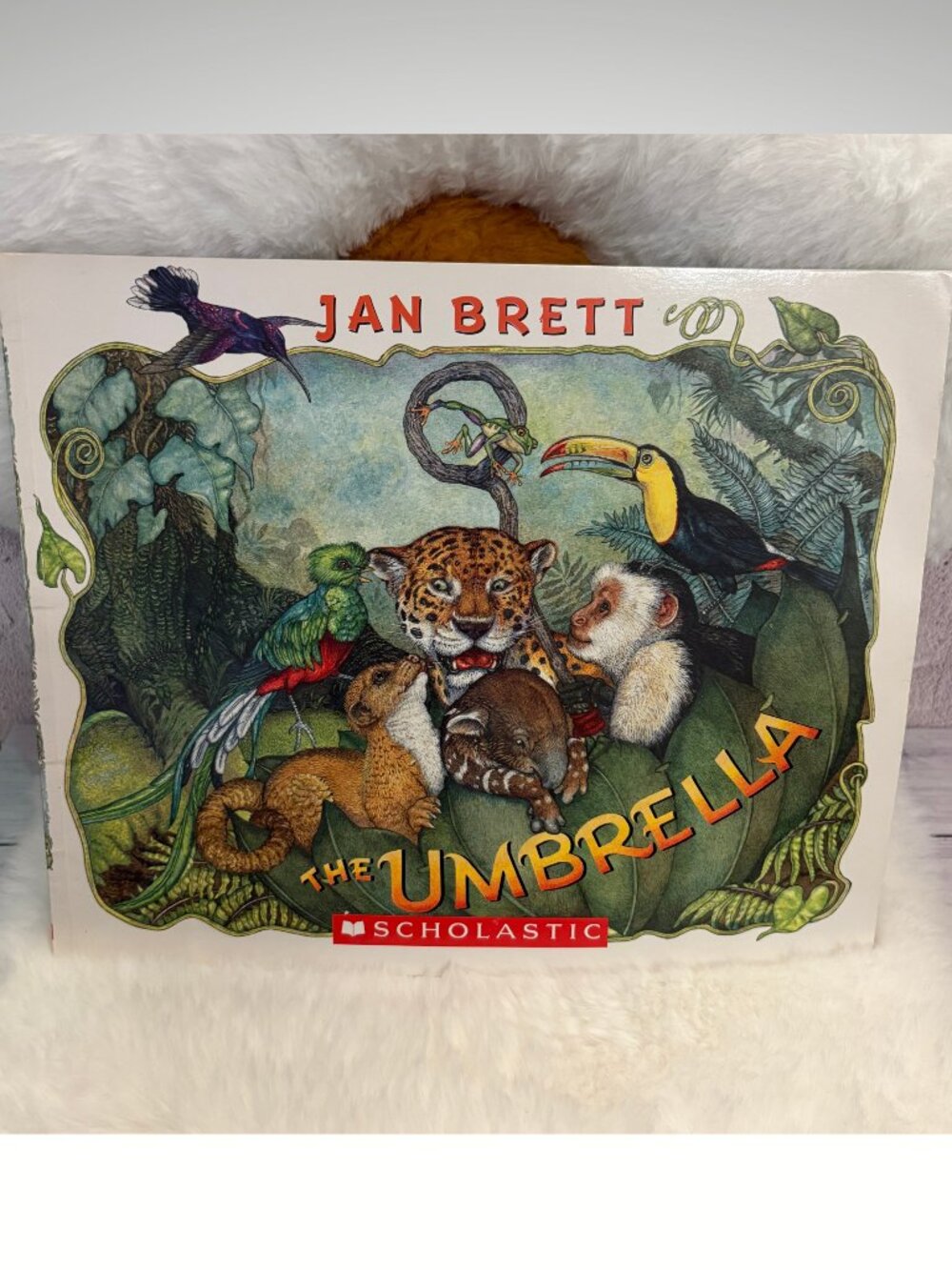 The Umbrella Jan Brett Scholastic Rainforest Picture Book 5/$15 (SKU: 132MI)